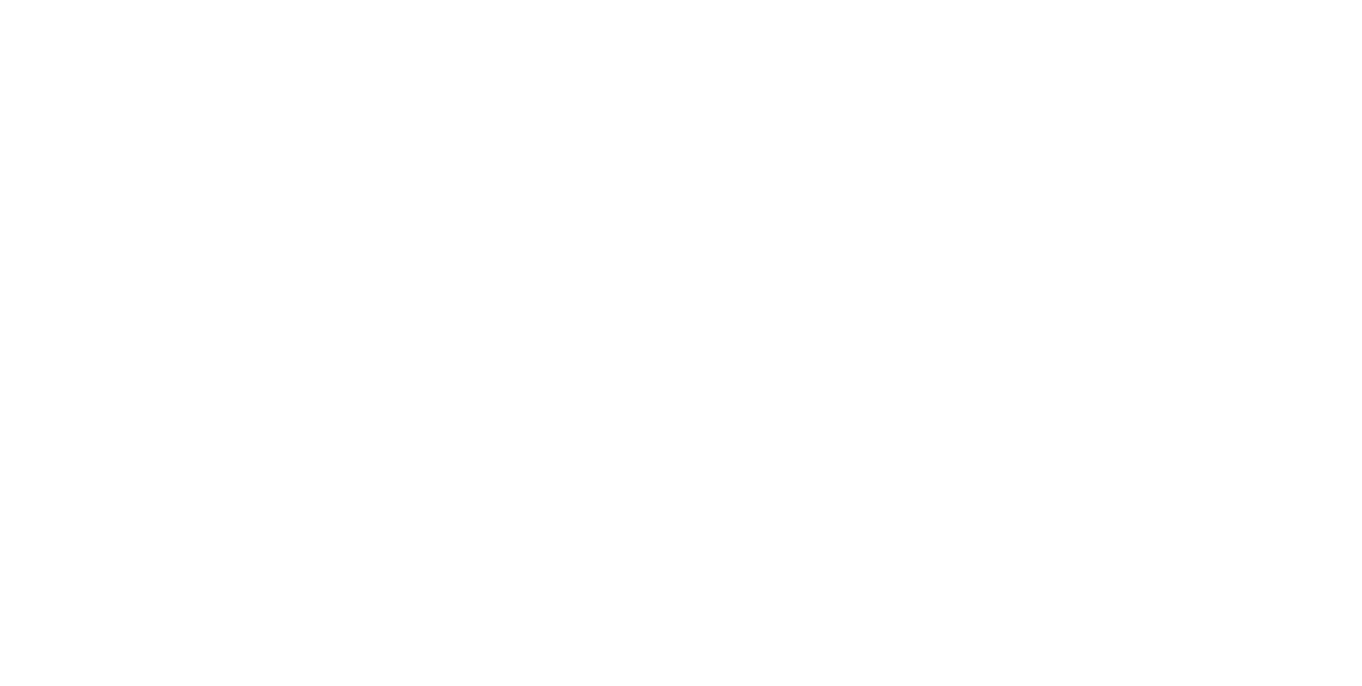 logo_vis